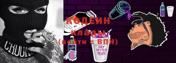 apvp Вязьма