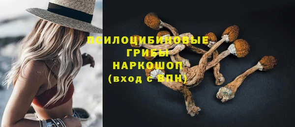 apvp Вязьма