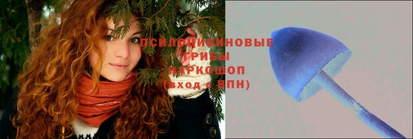 твердый Вяземский