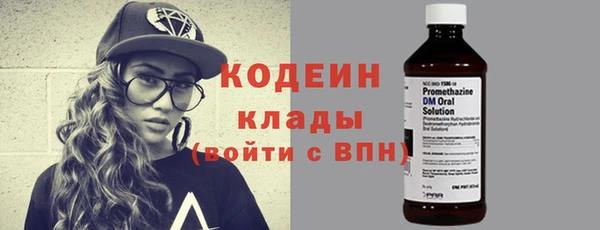 твердый Вяземский