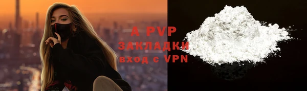 твердый Вяземский