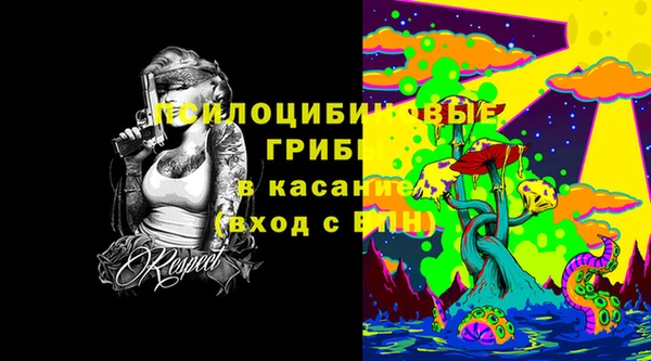 твердый Вяземский