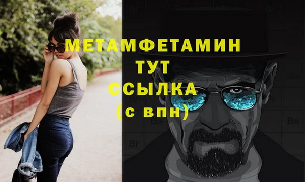 твердый Вяземский