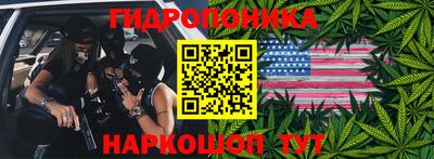 шишки Берёзовский